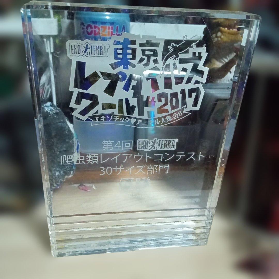 トウレプ 優勝トロフィー 2017