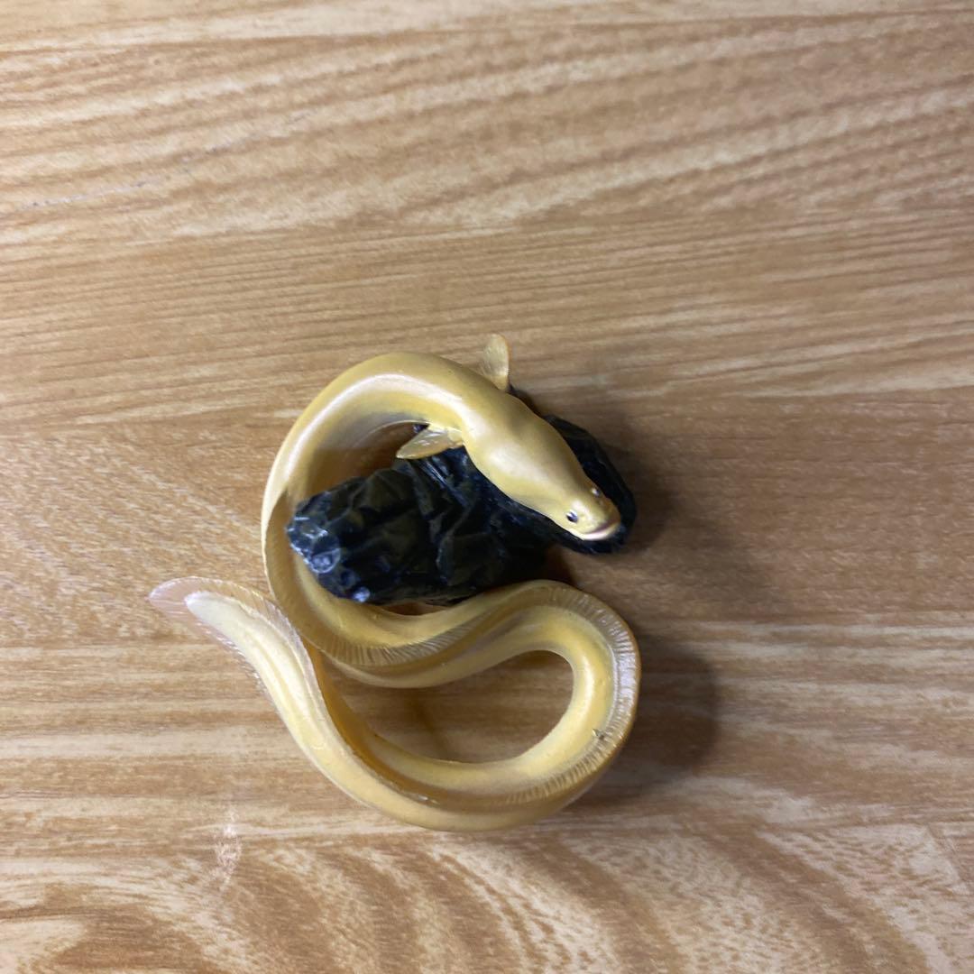 【中古】YUJIN 原色淡水魚図鑑　イワナ ウナギ　大正三色