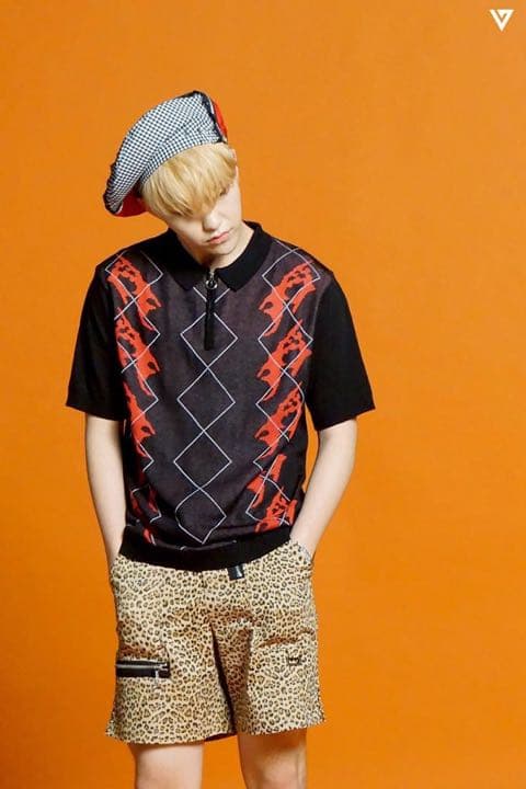 SEVENTEEN セブチ ホシ CHANGE UP ぬいぐるみ