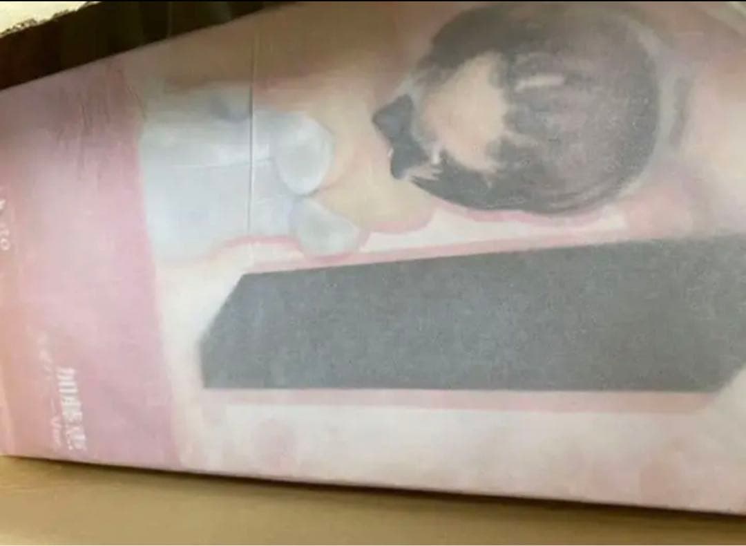 冴えない彼女の育てかた　生足ver 1/4スケール　３種セット
