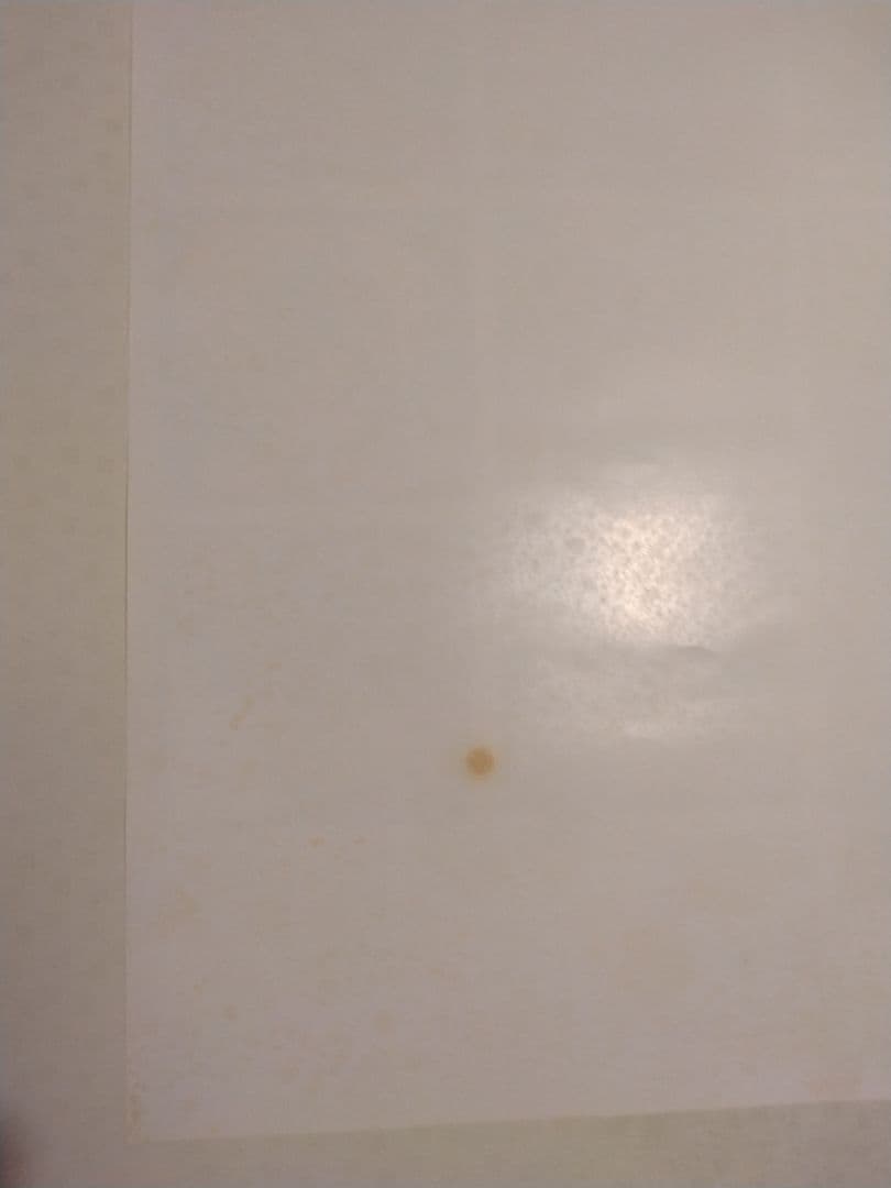 幻夢戦記レダ　いのまたむつみ　アニメ版　B2サイズ　ポスター　当時物