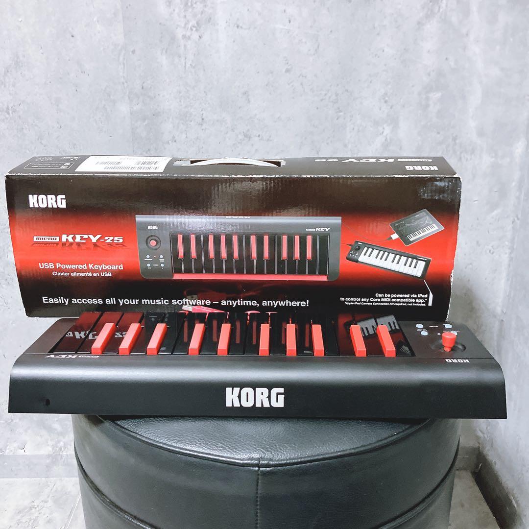 【希少】korg コルグ MIDIキーボード microKEY-25 25鍵