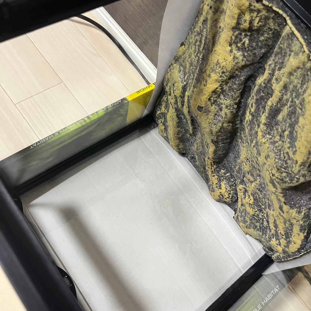 エキゾテラGEX EXOTERRA グラステラリウム 3030 爬虫類飼育ケージ