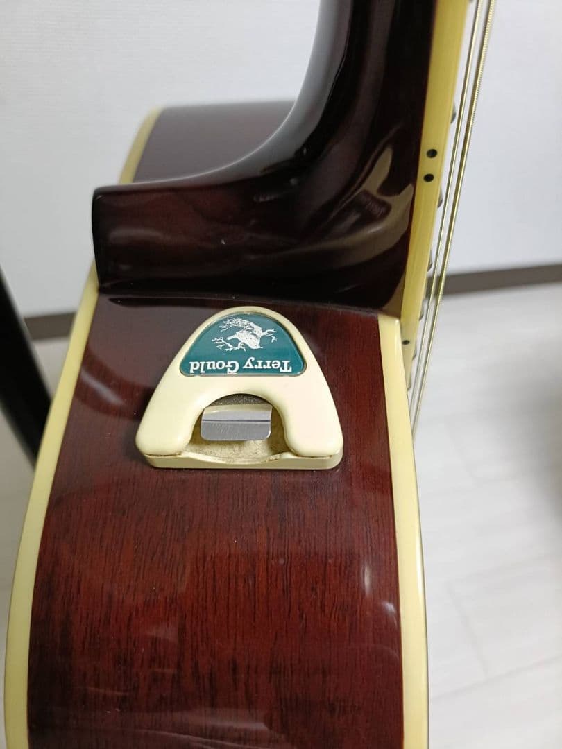 Takamine タカミネ T-F1/BS アコースティックギター