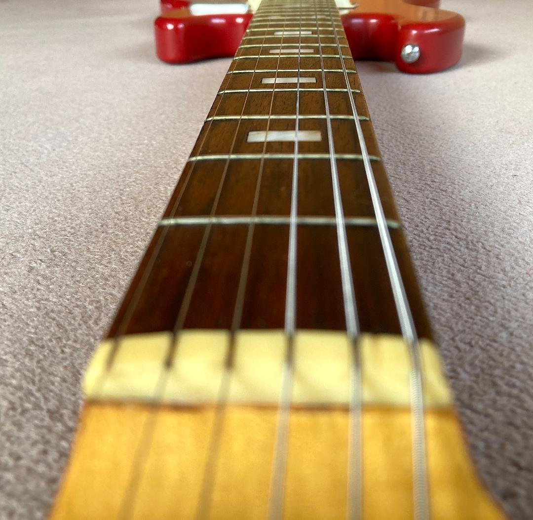 グヤトーン LG-85T 1960s ORIGINAL FOIL PUPS