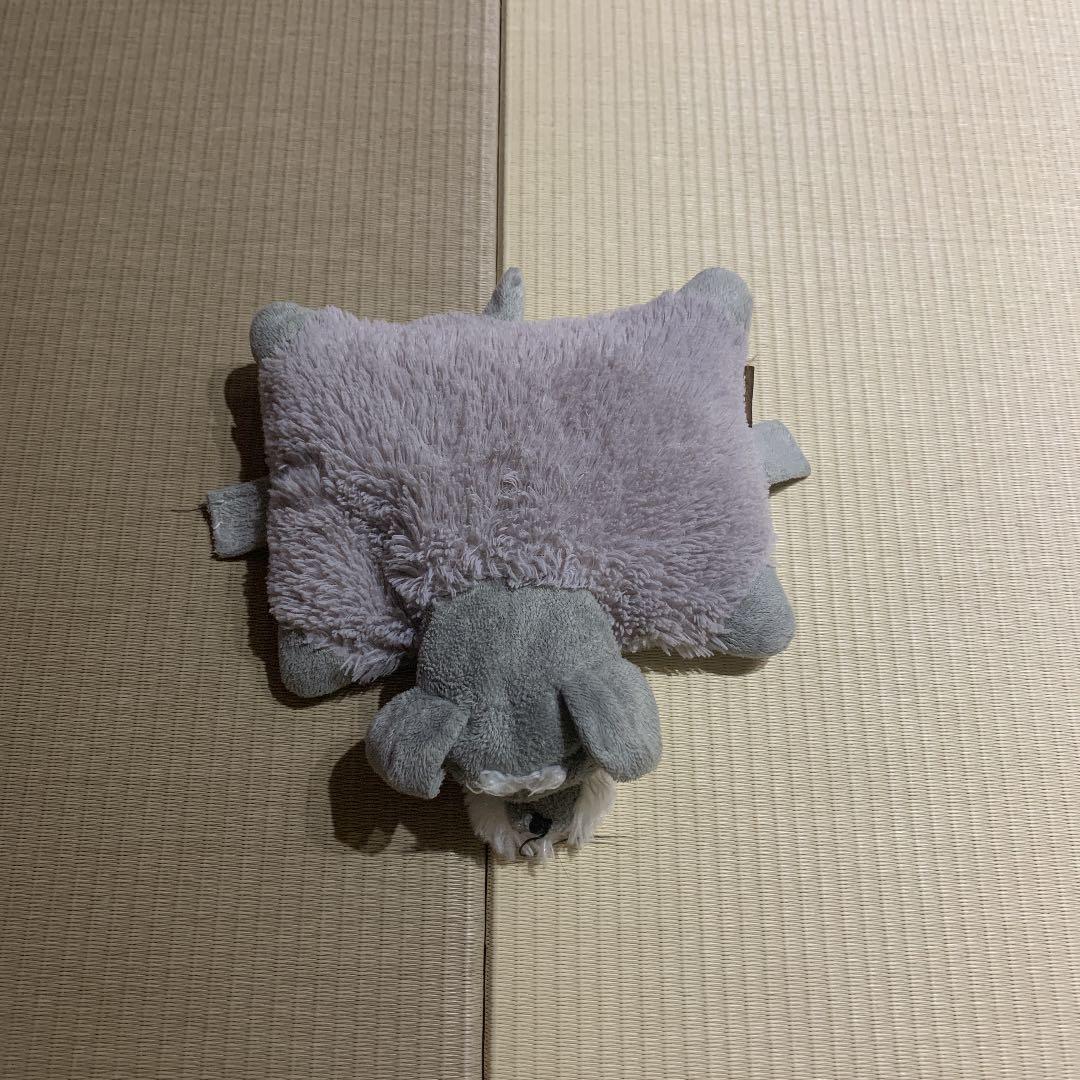 犬
