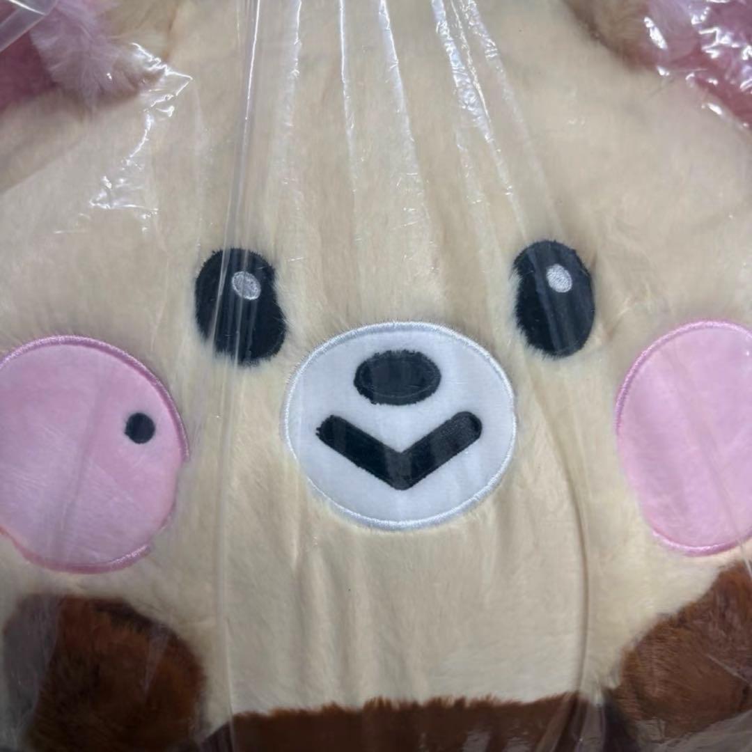 NCT Dreamiez フラットぬいぐるみクッション チソン