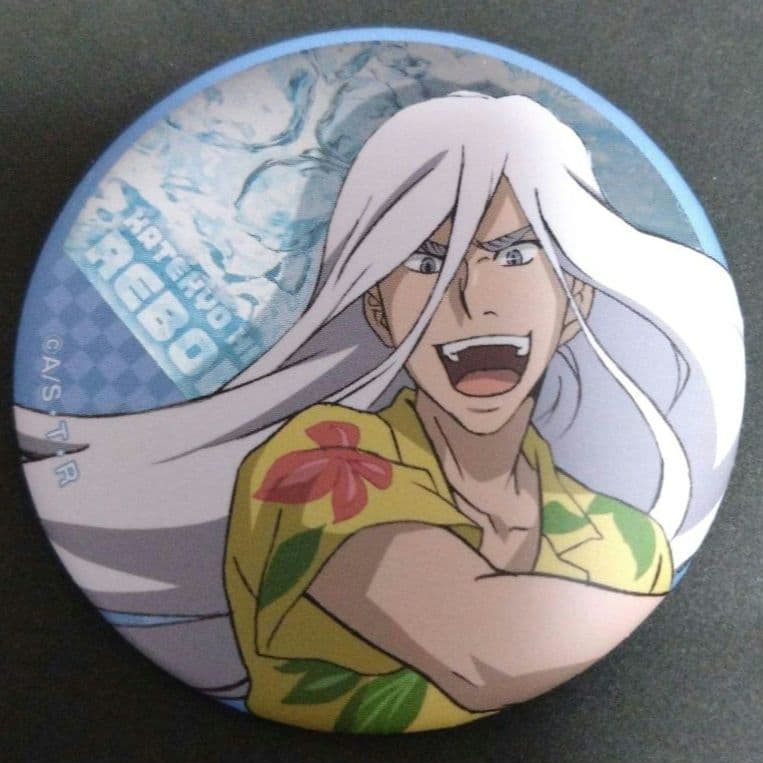 JF2022　家庭教師ヒットマンREBORN！　缶バッジ　ジャンプフェスタ