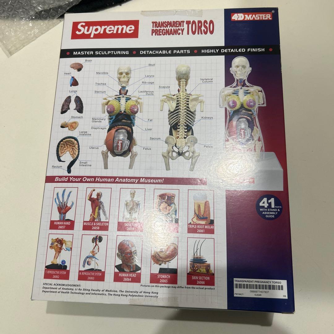 【新品未開封】Supreme 4D Human 人体模型 女性