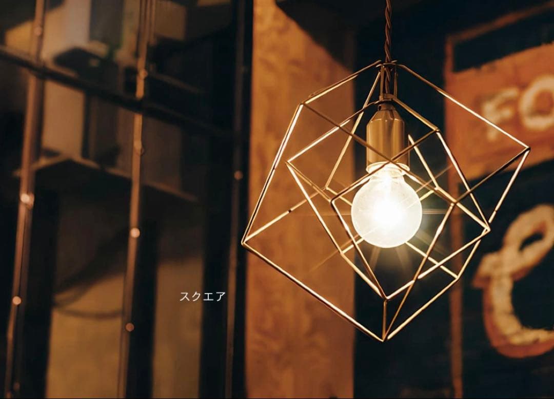 【美品】インターフォルム　ペンダントライト LED電球付き✨