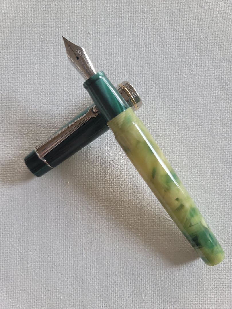 ❁⃘*.゜ デルタ 万年筆 レ・スタジオーニ プリマベーラ used美品