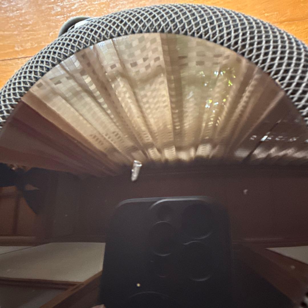 Pod 第一世代