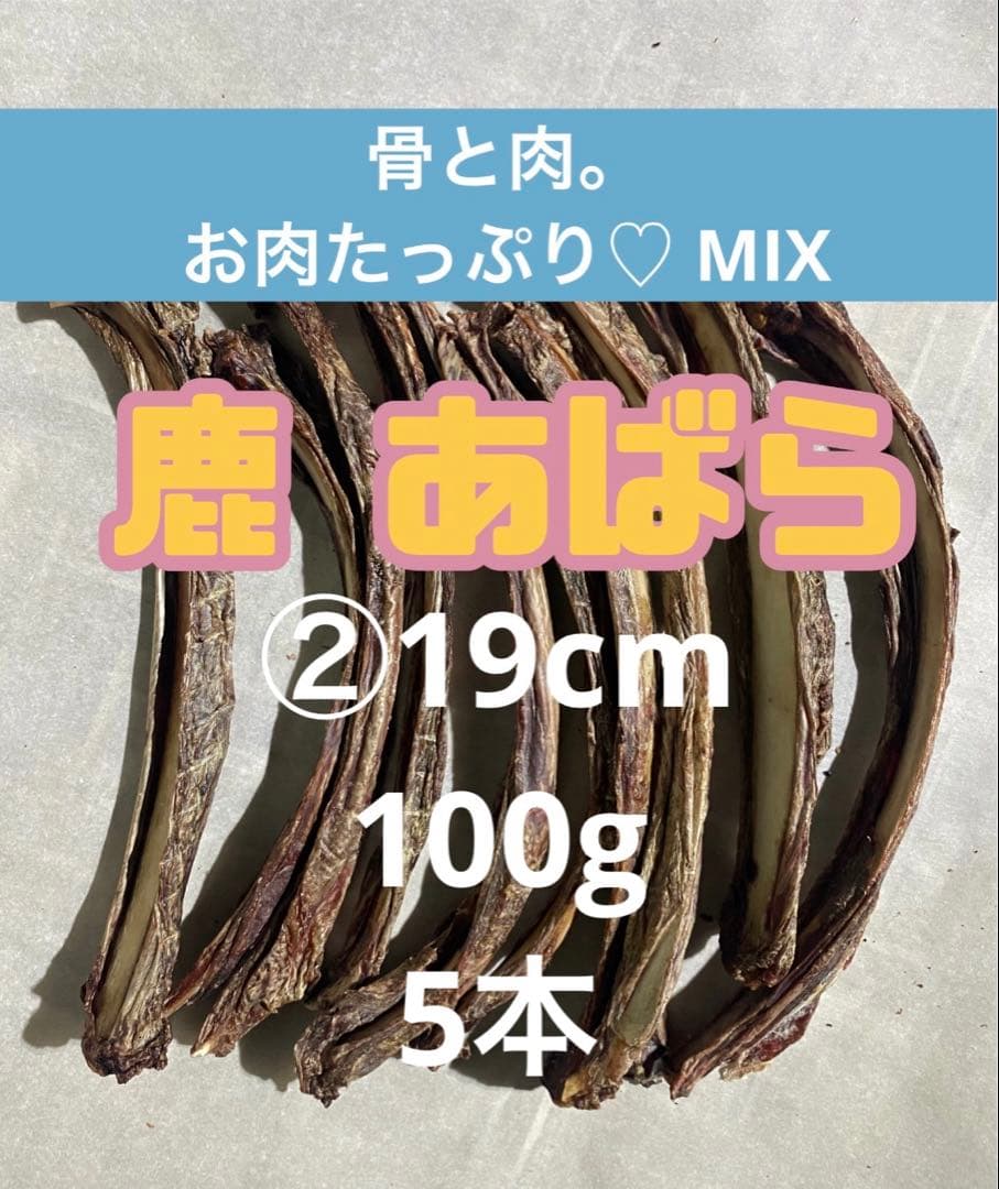 ②鹿 骨と肉。お肉たっぷり♡19cm×100g5本