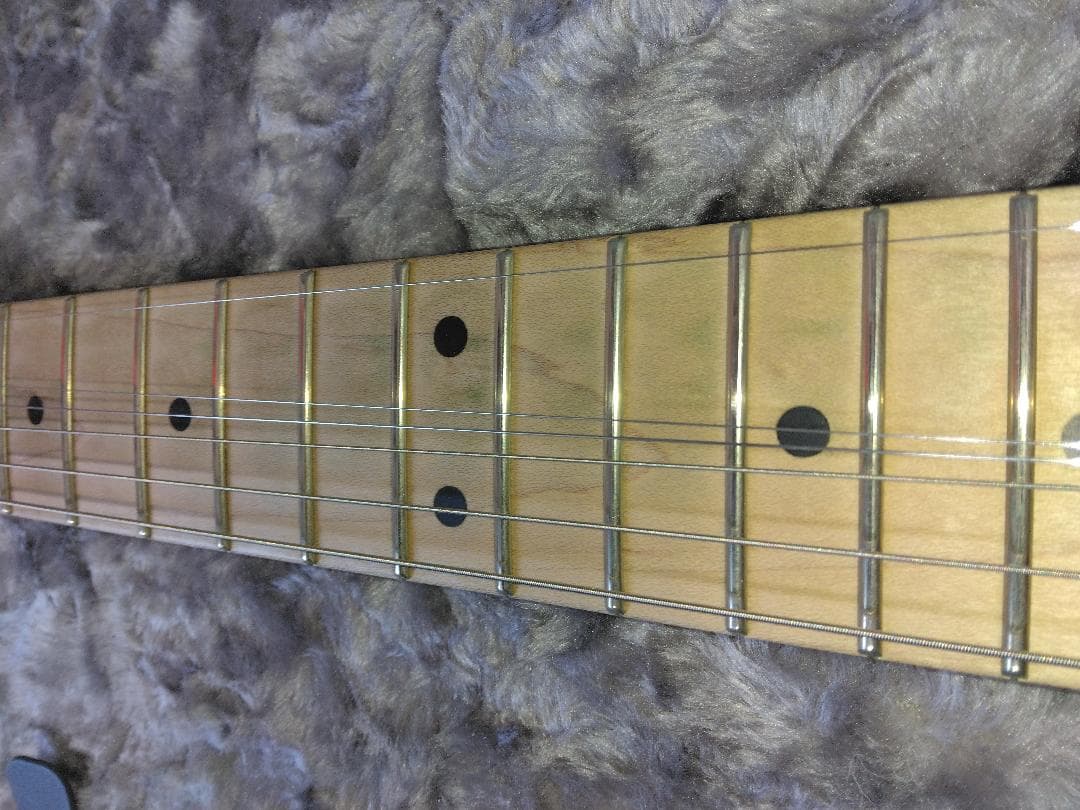 EVH Striped Series 白黒 ＋ 新品Fenderケース
