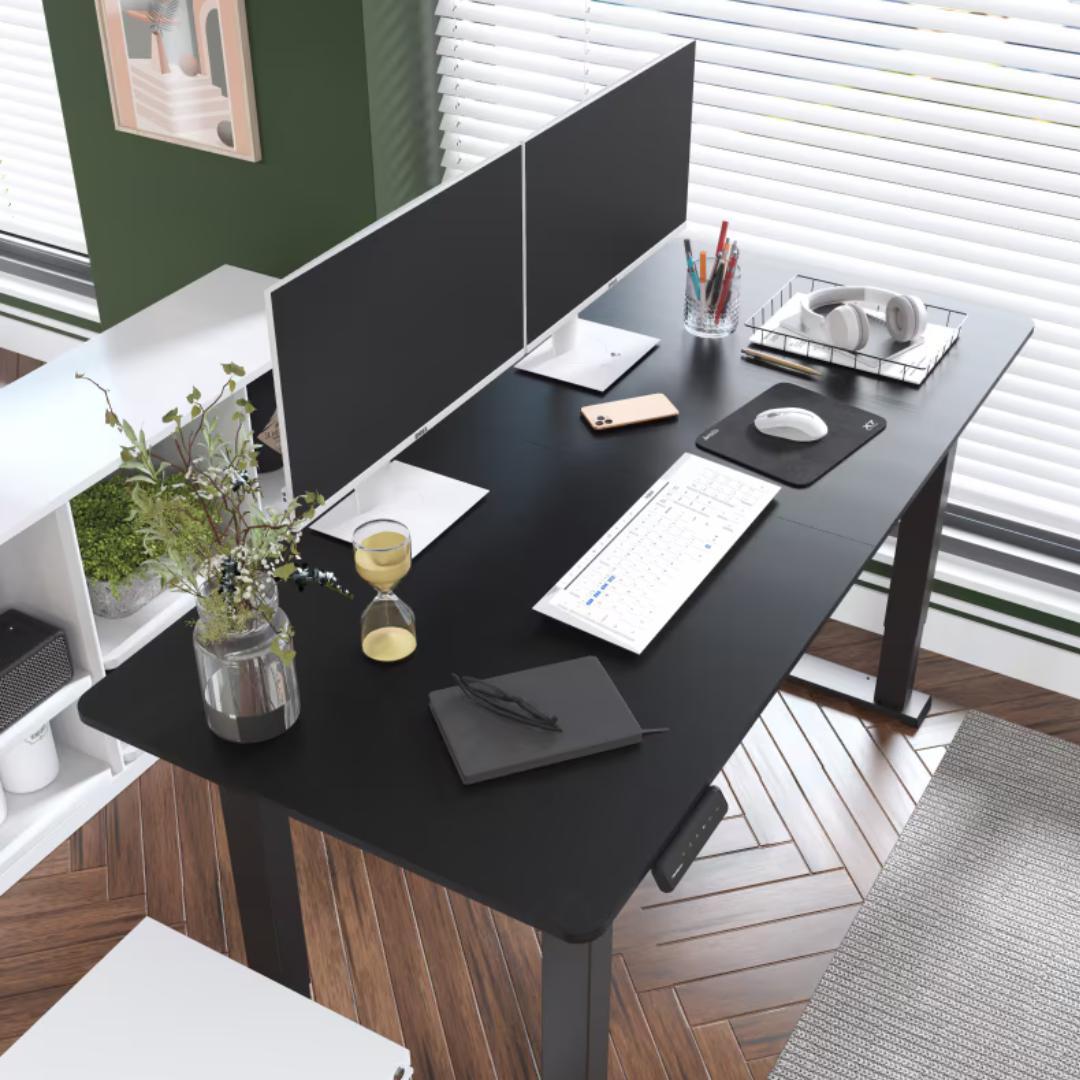 FlexiSpot E1Q 電動昇降デスク スタンディングデスク ブラック