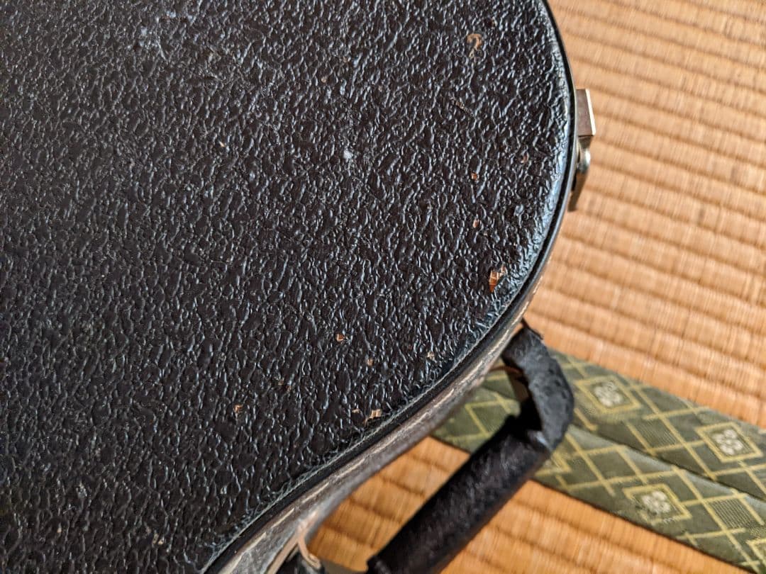 Epiphone / Emperor VC / Regent (韓国ピアレス製)