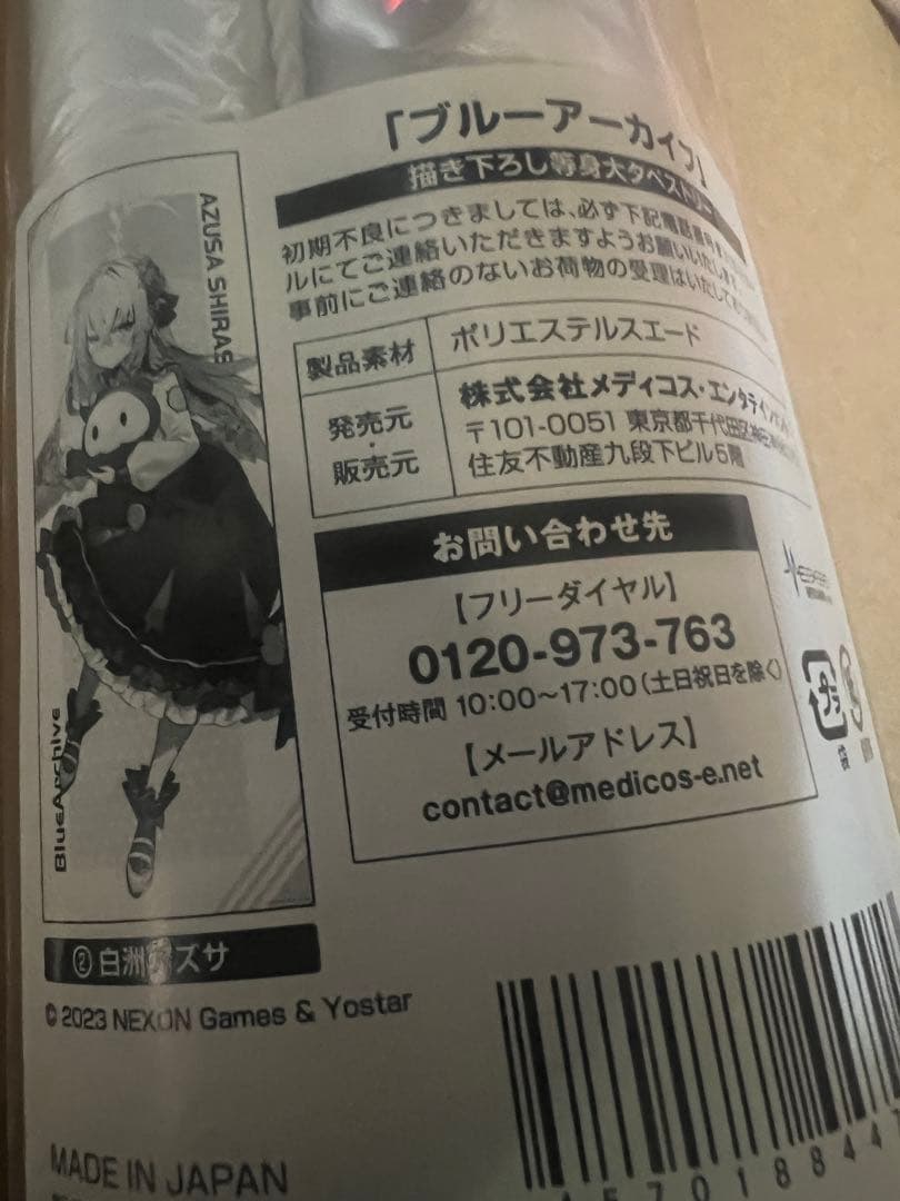 白洲アズサ　等身大タペストリー