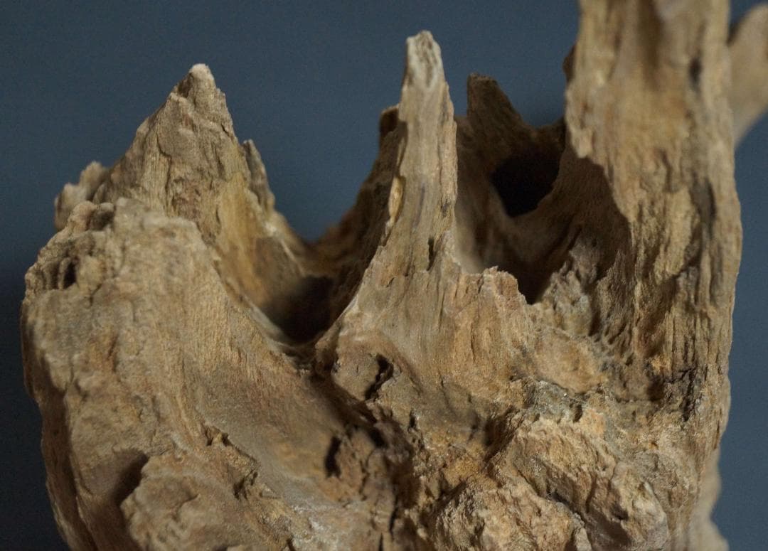 インド産 天然古白檀 特大香木 原木 自然体 山形香木置物 古香木 重量974g