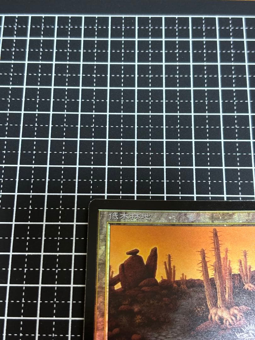 【美品】MTG 低木林地 7版 日本語 ホイル Foil マジックザギャザリング
