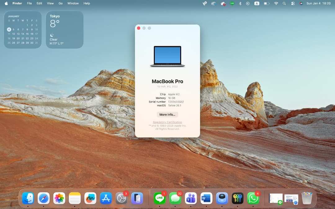 MacBook本体 Apple MacBook Pro 13 M2 2022 A2338