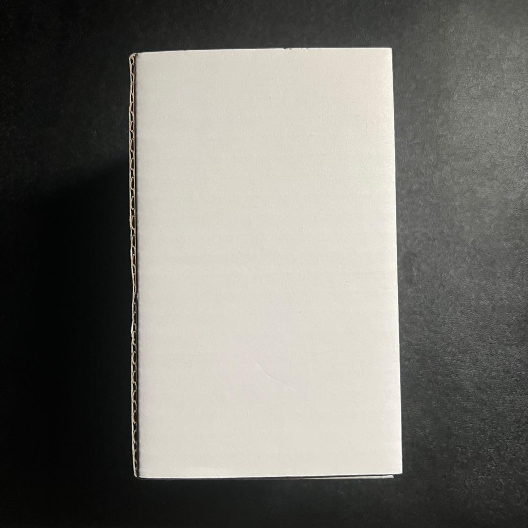 ギター Lee Custom Amplifier / VBM-1