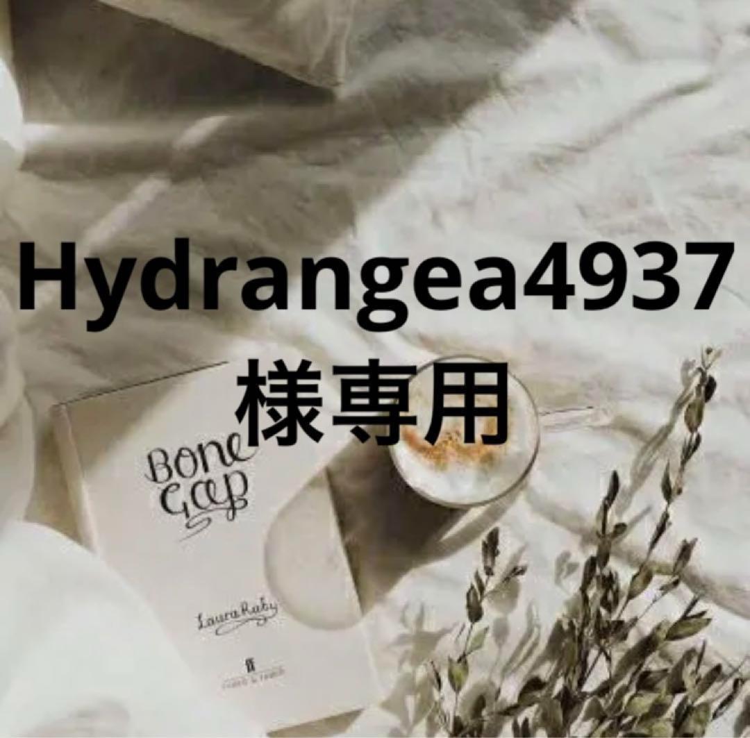 Hydrangea4936　0901