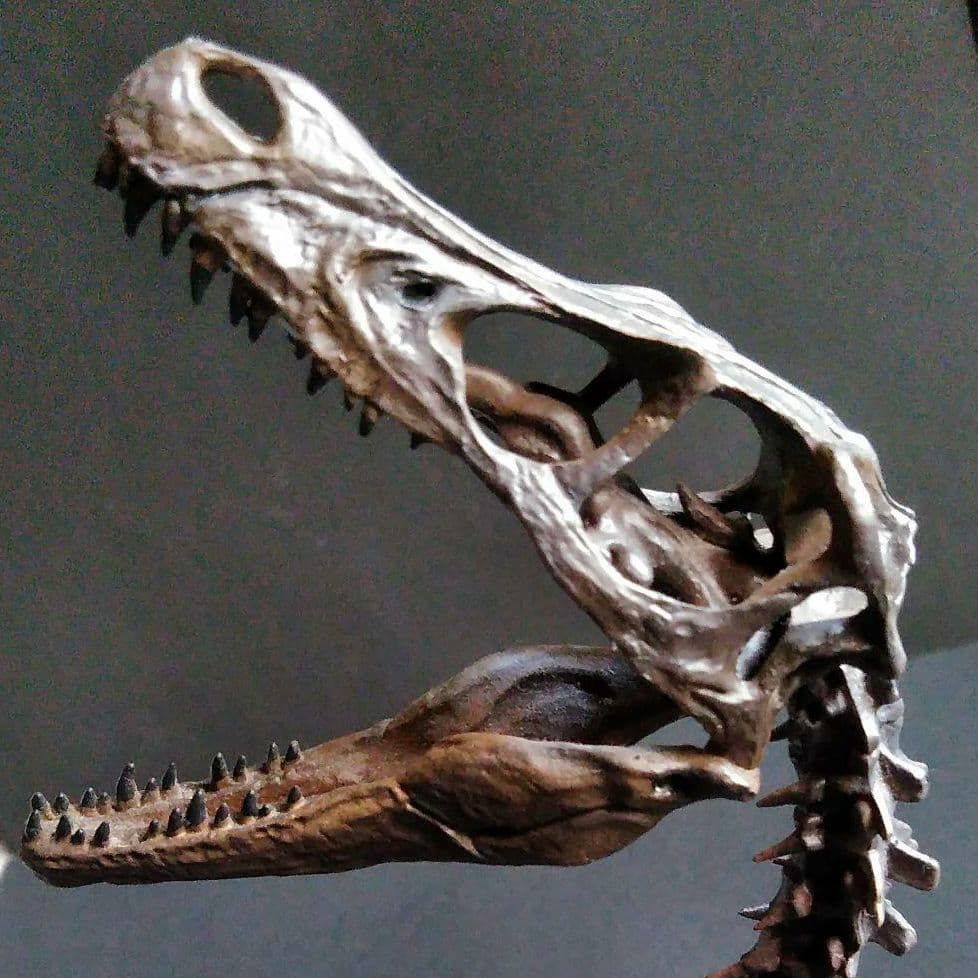 恐竜　化石　骨格　標本　獣脚類　骨格モデル