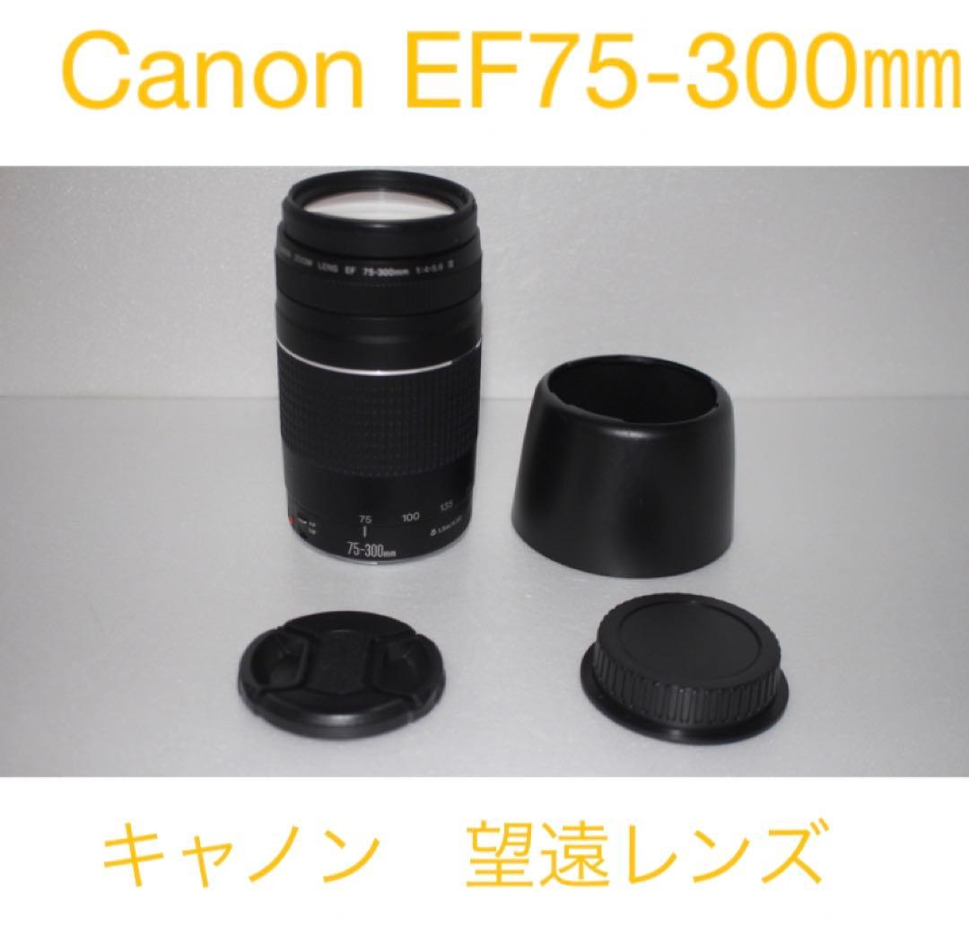 人気の300㎜　キャノン超望遠レンズ　　Canon EF75-300㎜