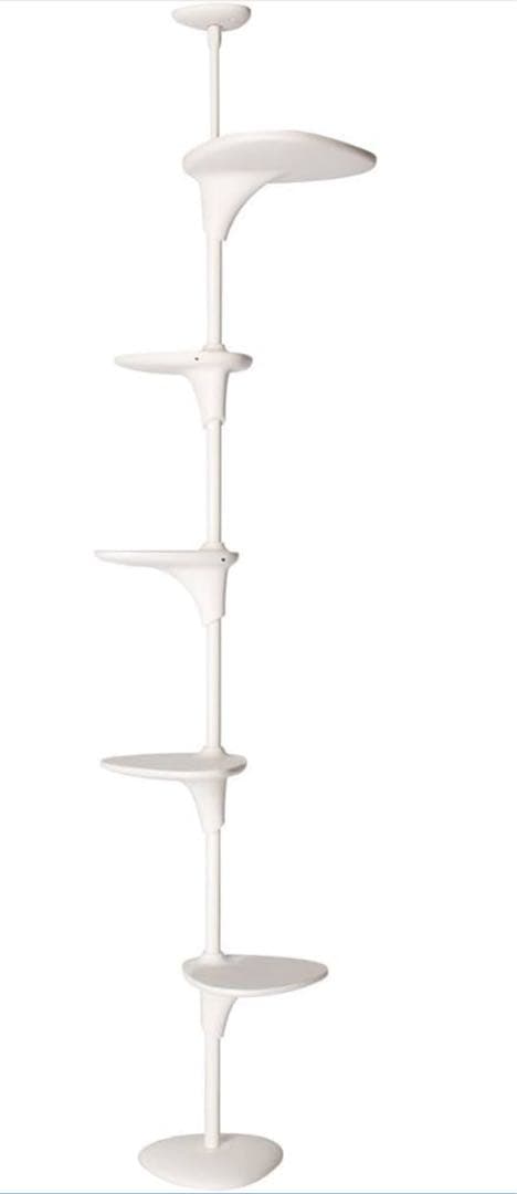 キャットフォレスト　ホワイト　OPPO