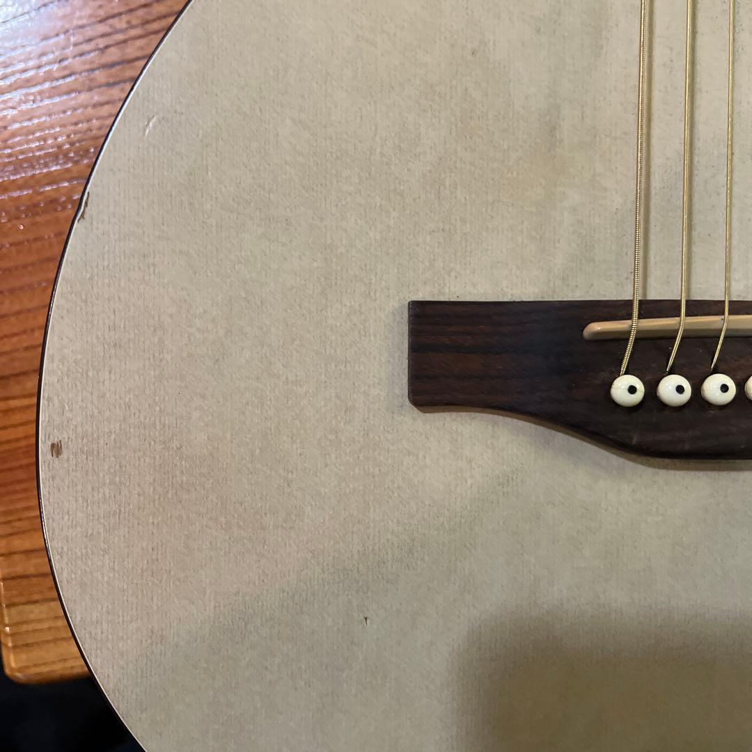 Art & Lutherie アコースティックギター