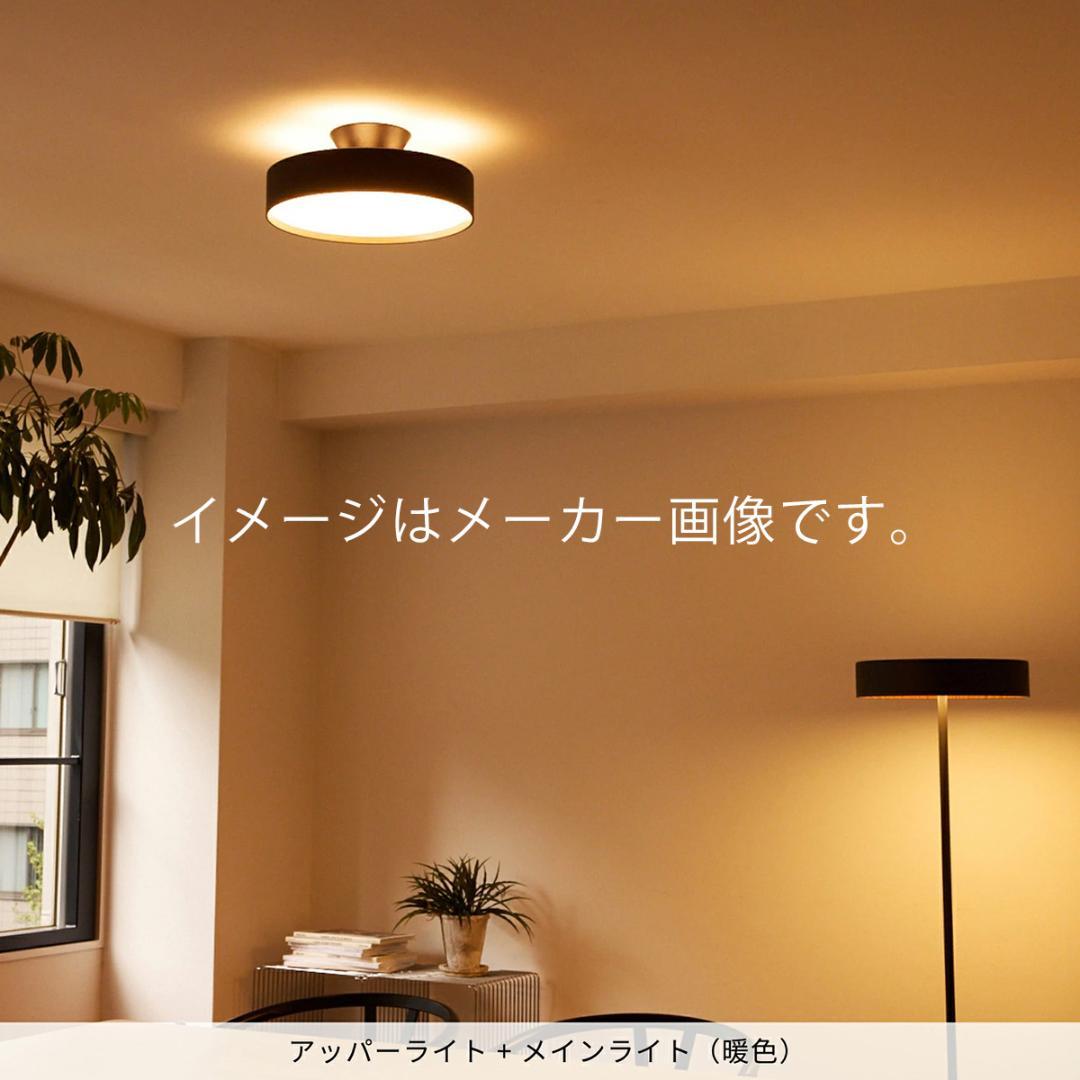 新品未使用　12畳用 アートワークスタジオ グロー5000 シーリングライト