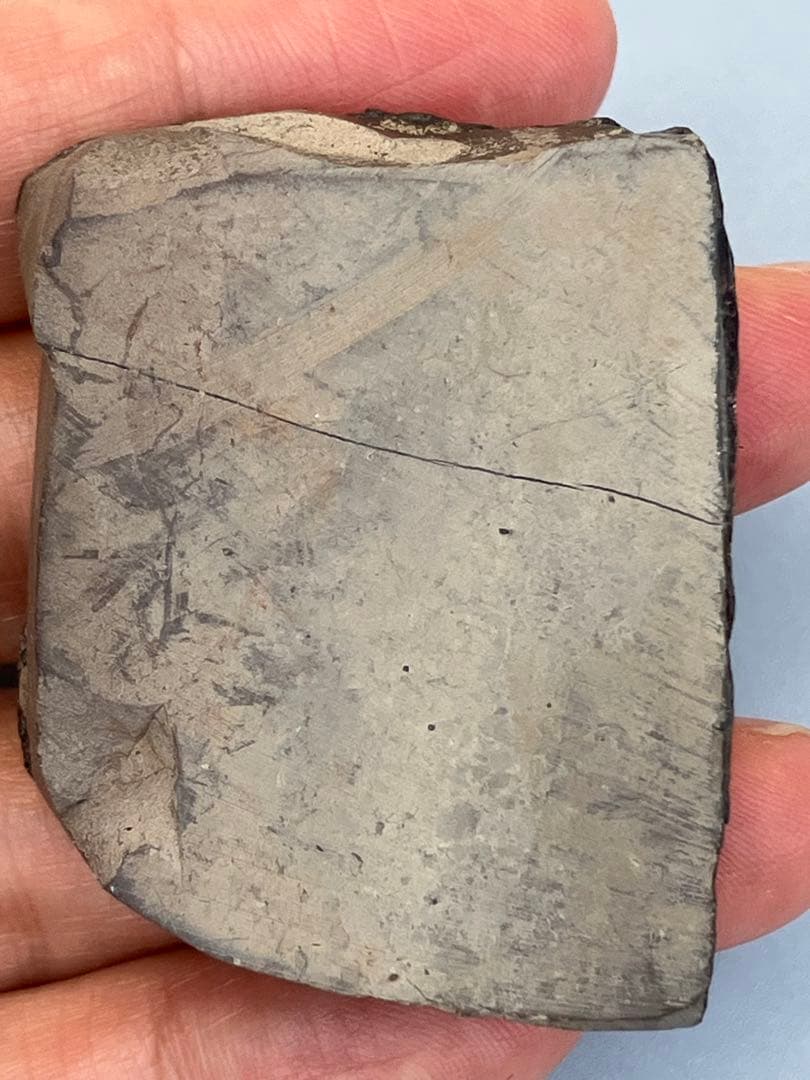 化石　原石　アンモライト　アンモナイト　カナダ産　幅4.1cm 置物　箱付き