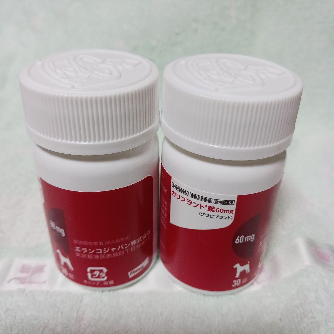 ガリプラント60mg 30錠×２本セット