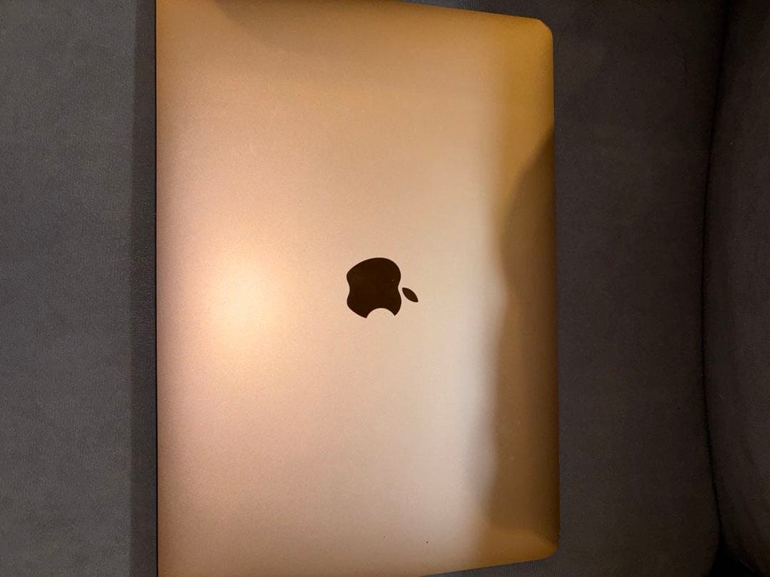 MacBook本体 ゴールドジャンク品