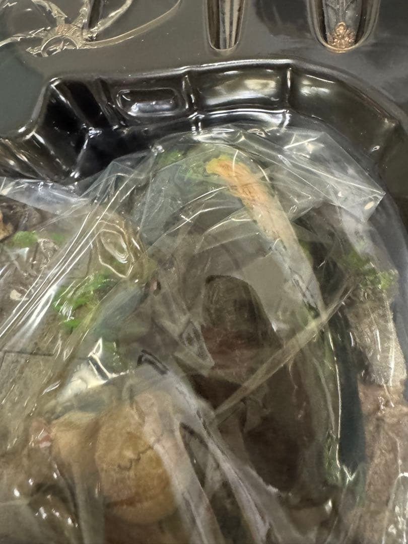 ❗️激レア　美品　毎日値下げ❗️ ホットトイズ　エンシェント　プレデター　2.0