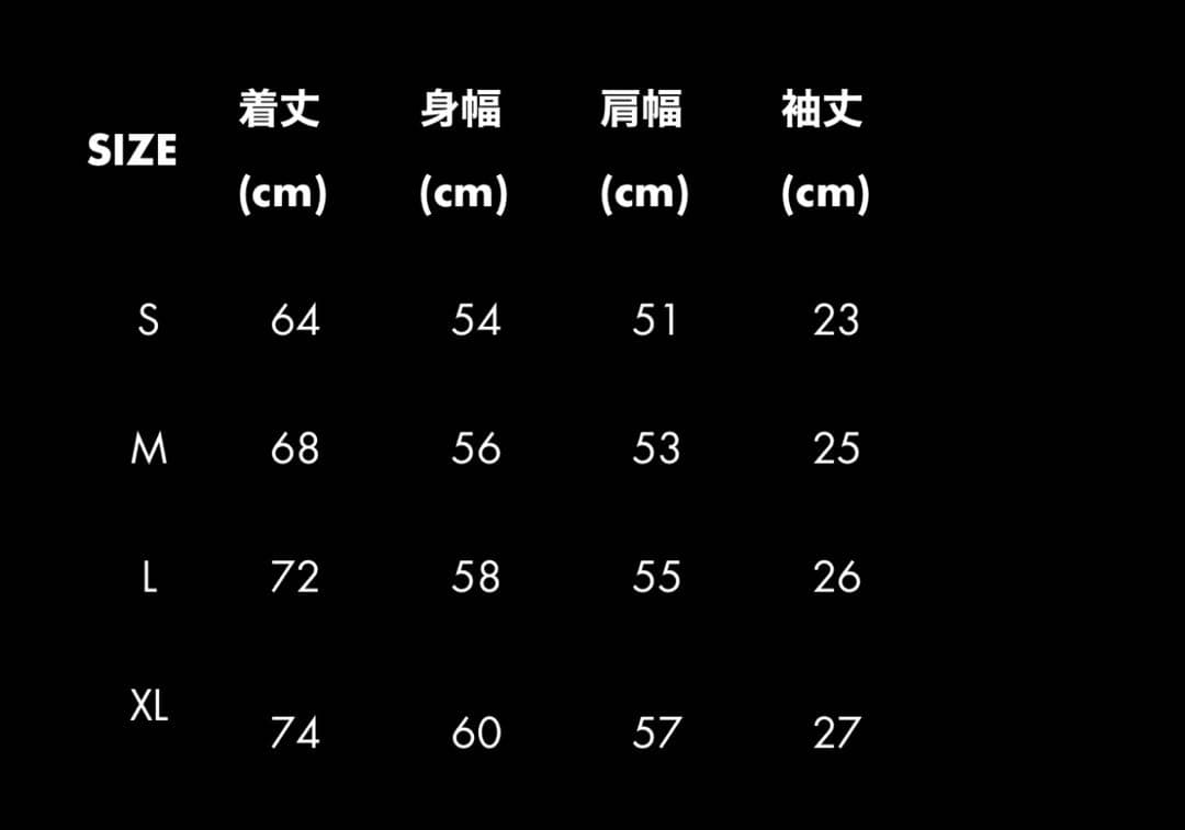 【入手困難】Yvng Patra着用 SECRET STONE T-shirt