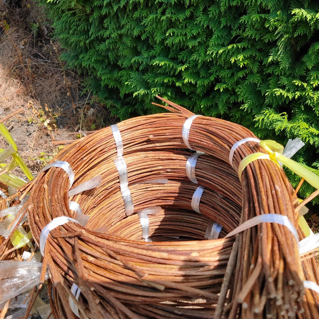 hkeplk　青森県岩木山採取　あけび蔓　70cm～150cm　5kg