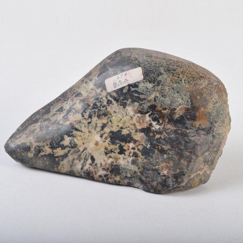 天然石　鑑賞石　菊花石　置物　重さ約1162g　N　8802