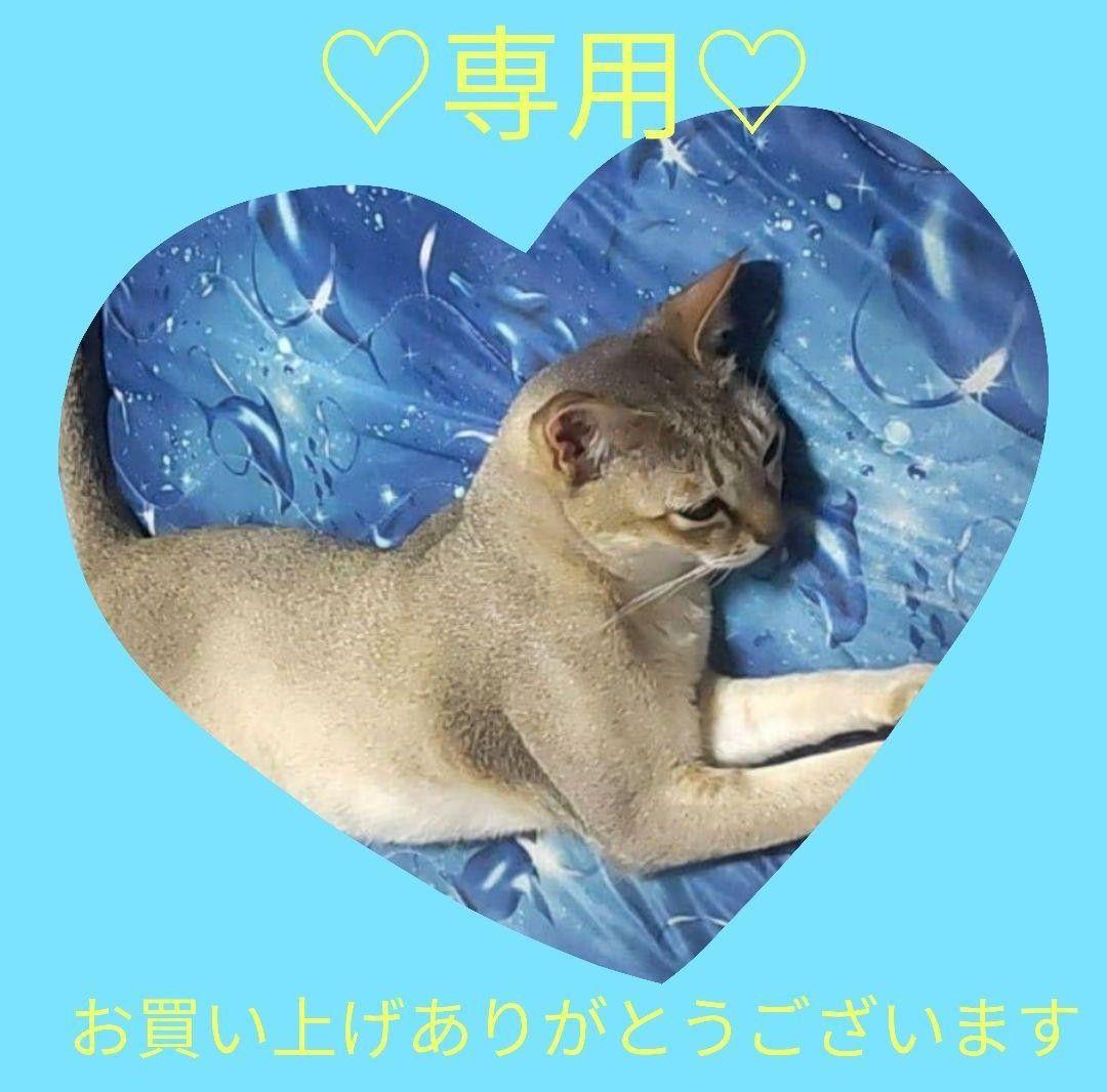 ★専用★