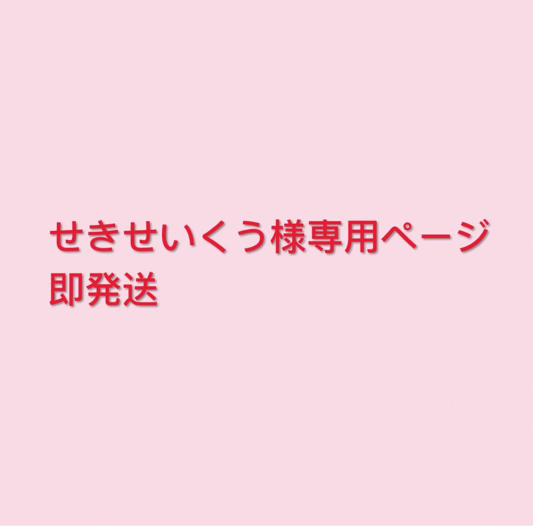 即発送 せきせいくうページ