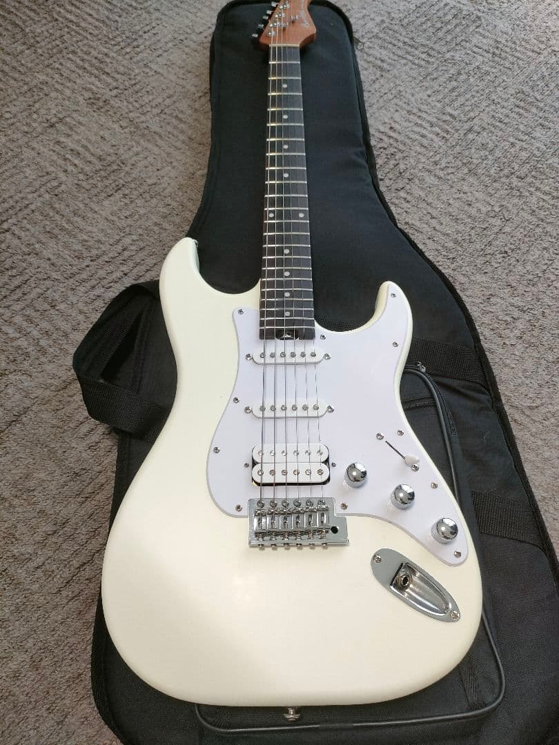 Bacchus SGS-ASH RSM　フレット90%以上 グローバルシリーズ