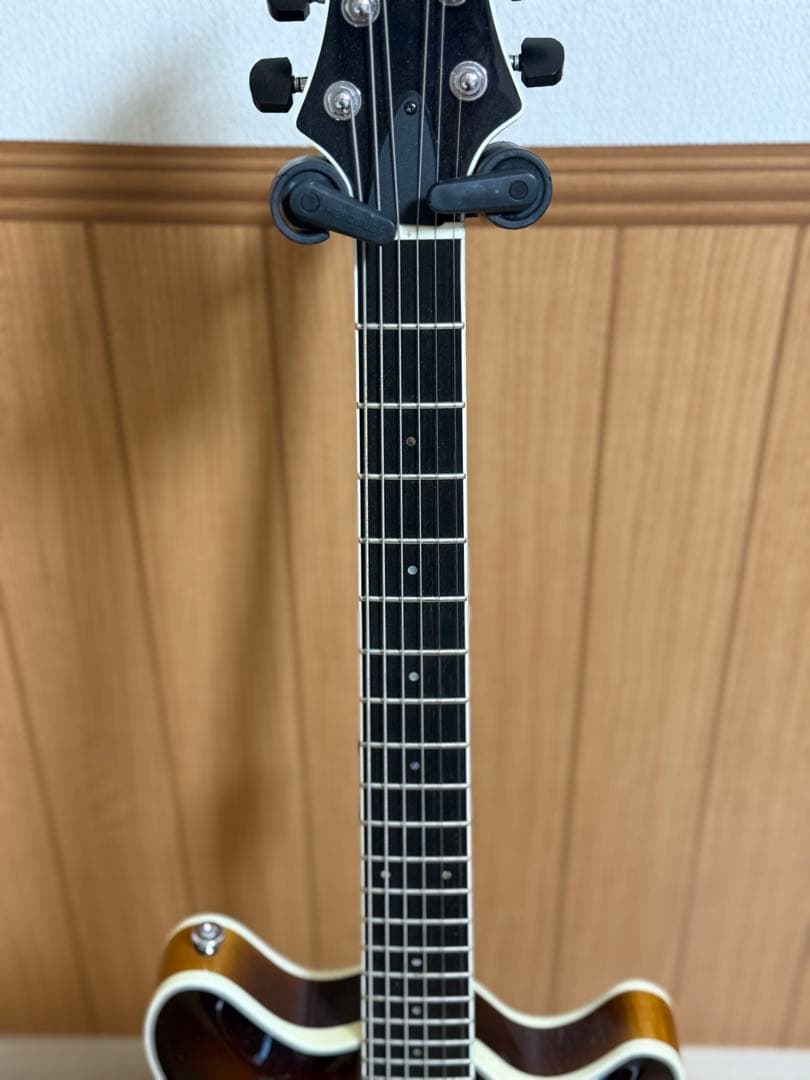 T’s guitars Arc Hollow Jazz