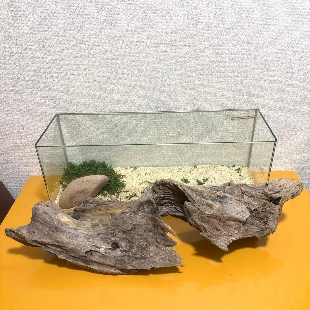 Ｇ67 流木　爬虫類　両生類シェルター　バスキング　観葉植物　インテリア　その他