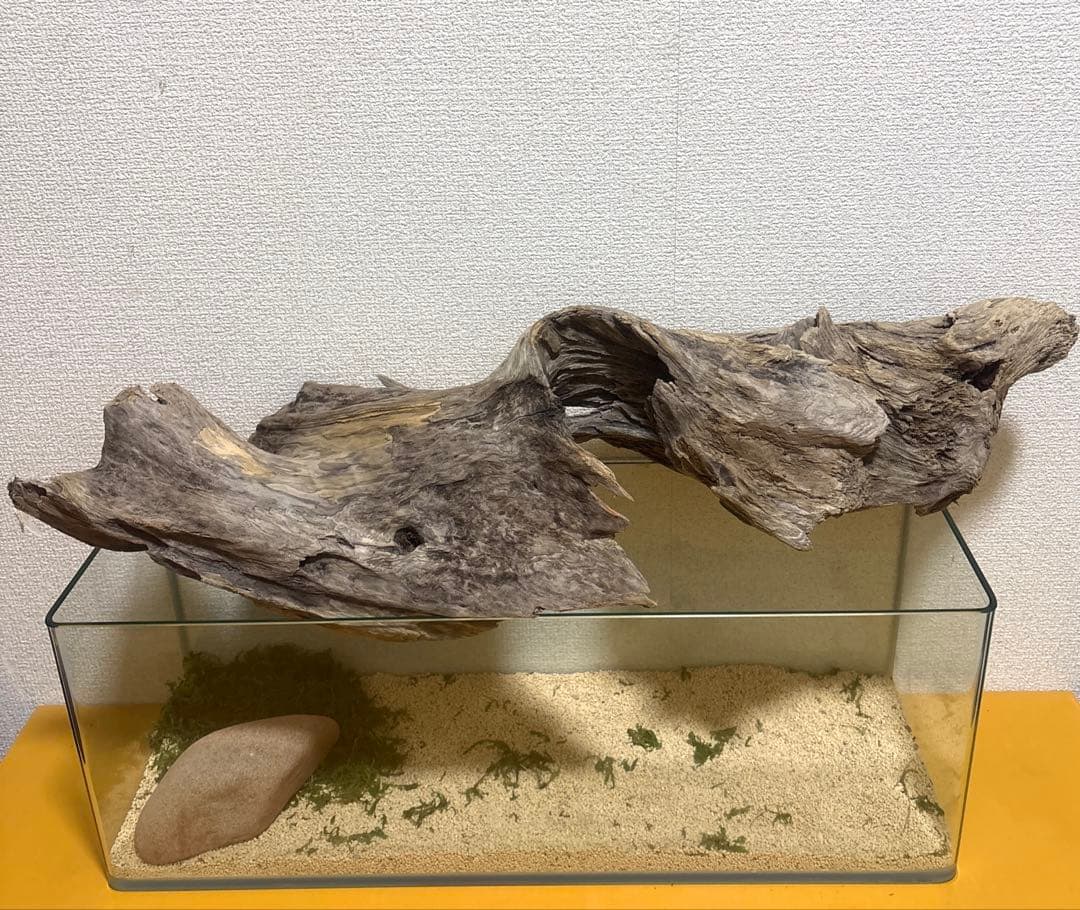 Ｇ67 流木　爬虫類　両生類シェルター　バスキング　観葉植物　インテリア　その他