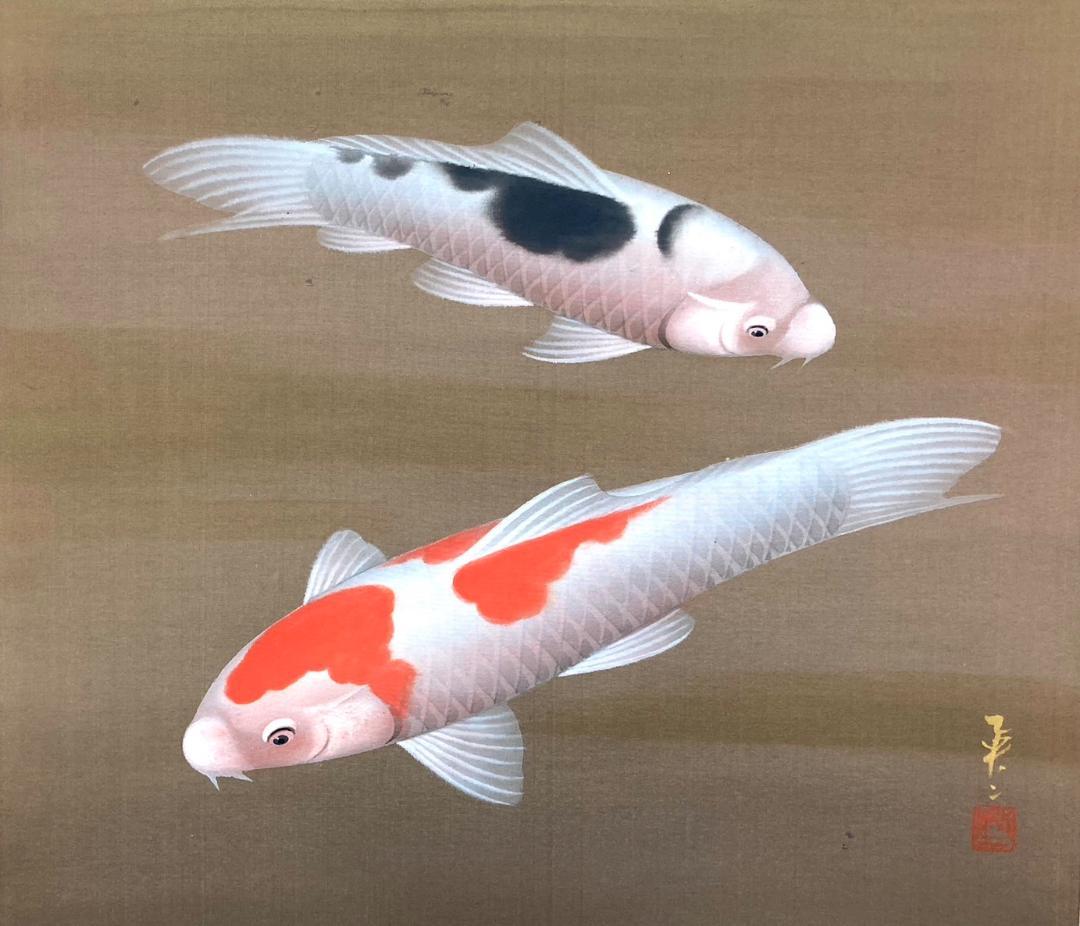 吉井英二「にしき鯉」掛軸 絹本 太巻き 共箱 二重箱
