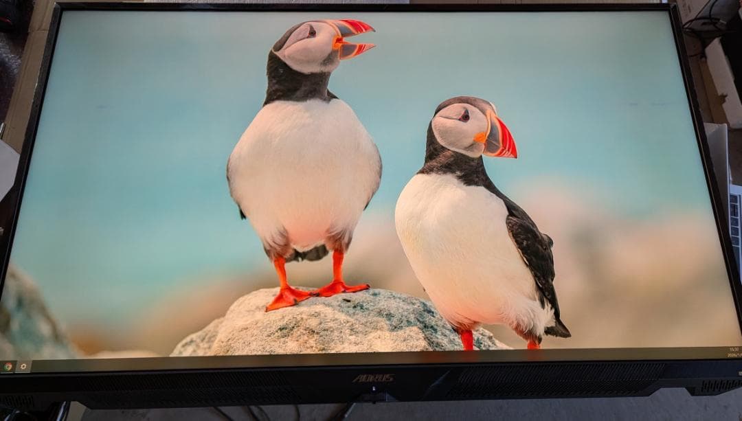 ディスプレイ・モニター本体 GIGABYTE FV43U