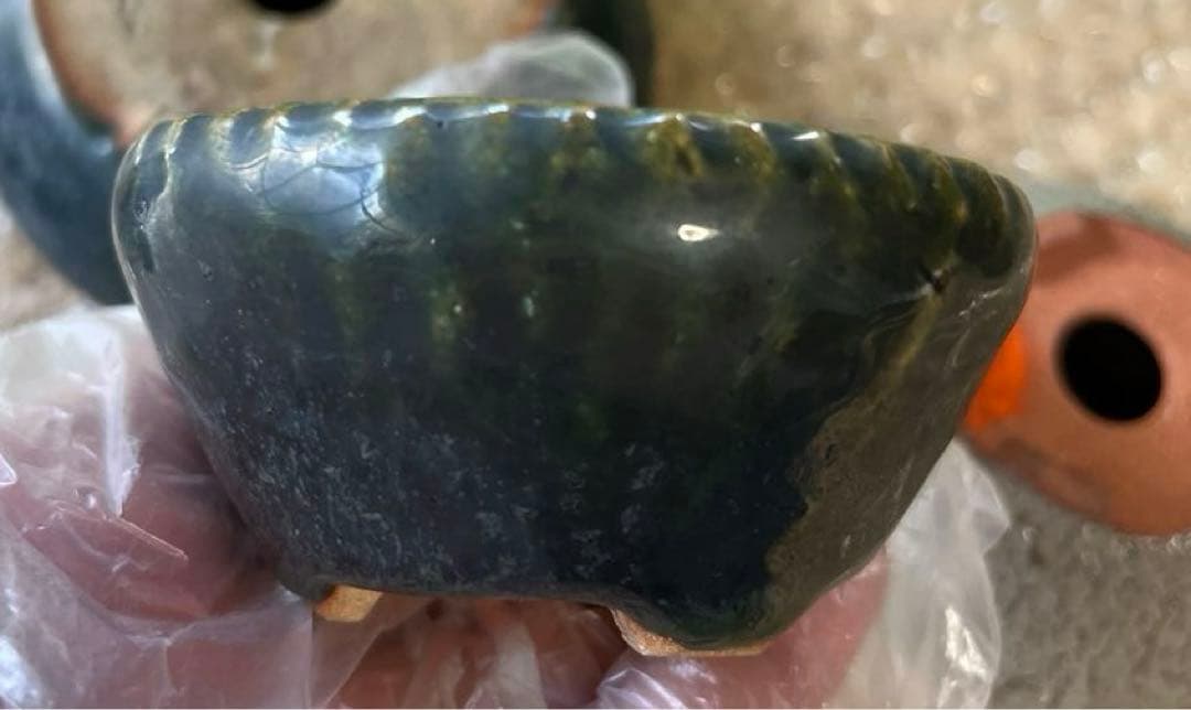 松寿　小品　盆栽鉢　レトロ　5個セット　(A5)