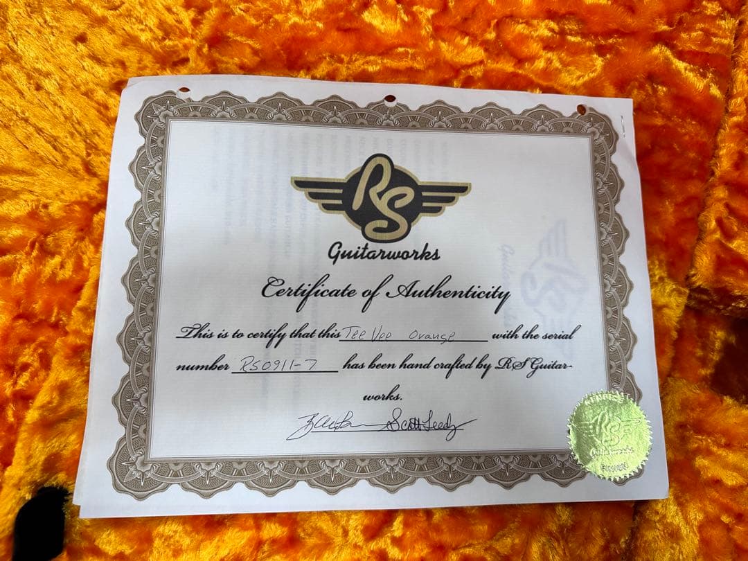 RS Guitarworks TEEVEE フライングV ギター