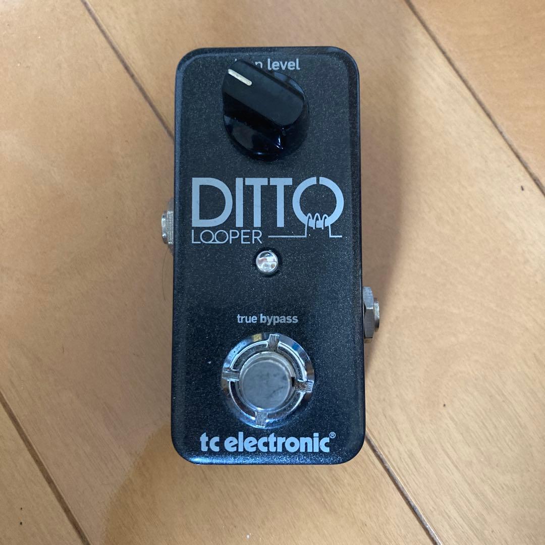 ギター tc electronic DITTO Looper