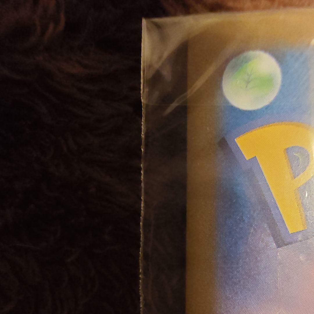 テラスタルフェス ブラッキーEX SAR 280HP